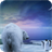 Polar Bear Wallpaper APK Download