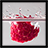 Raspberry juice Wallpaper icon