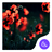 Red Flower Theme icon