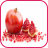 Pomegranate Wallpaper icon