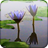 Water Reflecting Scenery icon
