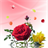 Rose petals icon