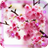 Sakura Music 2016 icon