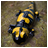 Salamander APK Download