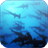 Shark 3D Video Live Wallpaper icon