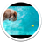 Simming Dogs Live Wallpaper icon