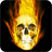 Skull on fire icon