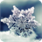 Snow Flake Live Wallpaper icon