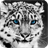 Snow Leopard Pack 2 Live Wallpaper icon