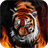 Scintillating tiger on fire icon
