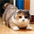 Scottish Folds Wallpapers icon