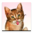 Screen Licking Cat icon