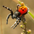 Spider Wallpapers HD icon