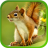 Squirrel Live Wallpapers icon