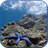 Sea Star Underwater Wallpaper icon
