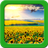 Sunflower Live Wallpapers APK Download