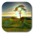 Sunlight Rainbow Live Wallpaper icon