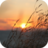 Sunrise Wallpapers icon