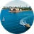 Sydney HD Wallpapers icon