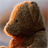 teddy bear live wallpaper icon