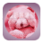 Teddy Bear Pink Keyboard icon
