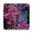 The flowers on the trees icon
