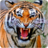 Tiger Wallpapers icon