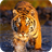 Tiger Wallpaper APK Download