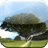 Tree And Field Wallpaper APK Download