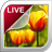 Descargar Tulip Live Wallpaper