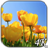 Tulips 4K Video Live Wallpaper icon
