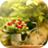 Flowerpots and t Wallpaper icon