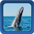 Whale Live Wallpapers version 1.2