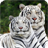 White Tiger Pack 2 Live Wallpaper icon