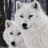 White Wolves Pack Live Wallpaper icon