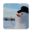 Winter and snow icon