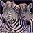 Descargar Zebra live wallpaper