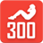 300 Abs icon