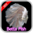 430 Betta Fish icon