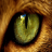 Animal Eye Gif Image icon