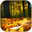 Autumn Morning Wishes Images icon