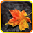 Autumn Wallpaper FREE APK Download