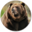 Bear Wallpapers icon