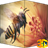 Bees Video HD 3D LWP icon