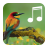 Bird Sounds version 2.0