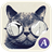 Black cat abc launcher theme icon