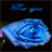 Blue Rose For You LWP icon