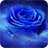 Blue Rose icon