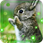 Bunny n Flowers live wallpaper icon