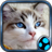 Cats and kittens Wallpapers from Flickr version 1.0.4.3